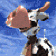 pirata6