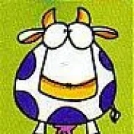 estefuroso