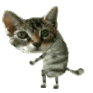 Gatito Setsual