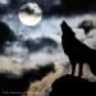 Rx-wolf
