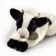 lefiguere