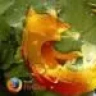 firefox832009