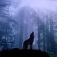 lobo090