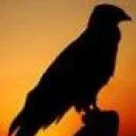 Black Wings