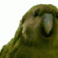 marcosarie