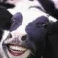 zimsolrac
