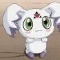lionk666