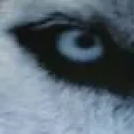 ehdz_lonewolf15