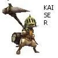 Kaiser1216