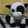 EvilCanibal