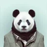 bruno00123456