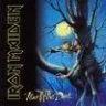 -FearOfTheDark-