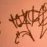 tOzkhOO