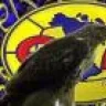 eagle10
