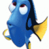 ---dory---