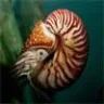 cibernautilus.es.tl