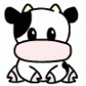 bishipkbb