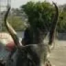 ANGELLOMAX