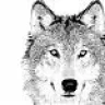 gmc_wolf