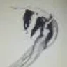 lnpb2010