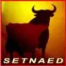 setnaed