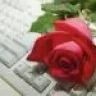 majid16367