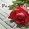 mistery2234
