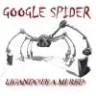 spider robot