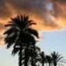 el cocos