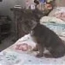 naroba2007