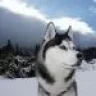 PeterZero