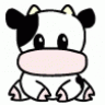 Cossia