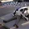 vaquero503
