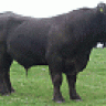 odinsick
