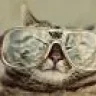 Djpowercat