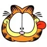 gatocholo