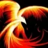 avefenix82