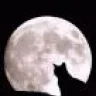 elgatofelix