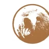 Hanzbear