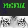 m_siemon