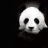 GHOSTDITO