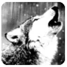 roar109