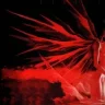 alucard300zx
