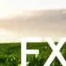 Serchfx