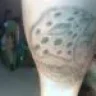 elcholomorales