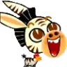 BurroZebra