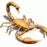 escorpion14