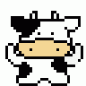 polotoy