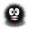 wo0t