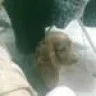 tejeda22